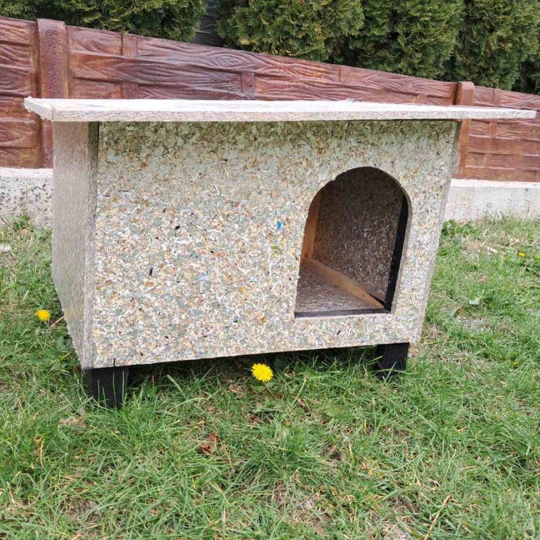 standard-model osnovni model